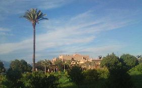 Riad Elaissi